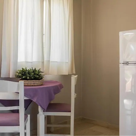 Mirtia Studios Minia
